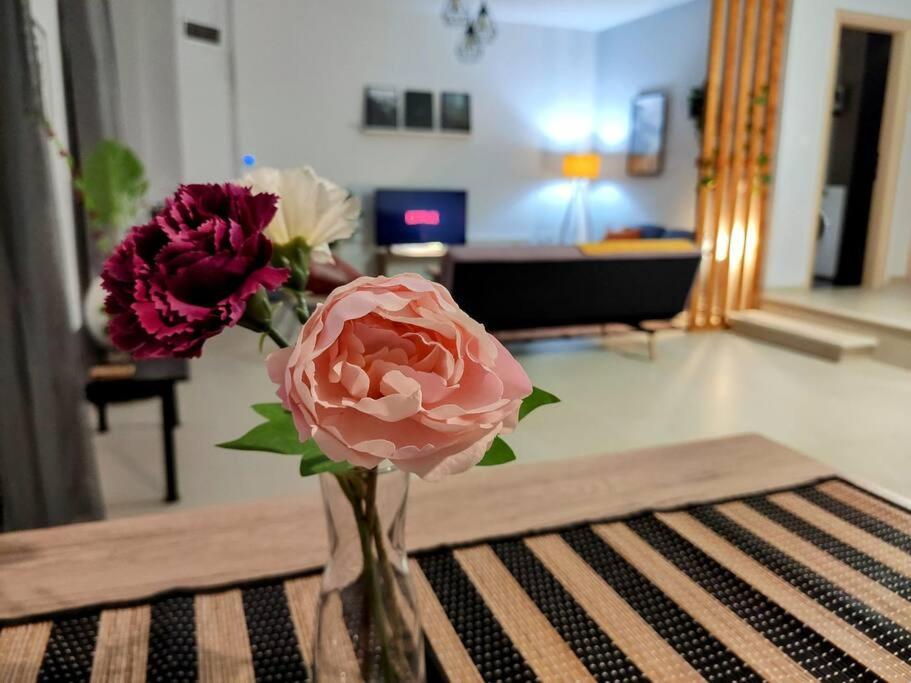 Litohome Litochoro The Gods Oasis ภายนอก รูปภาพ